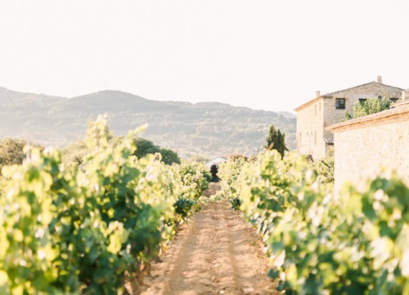 Domaine Gros'Noré — photo 4