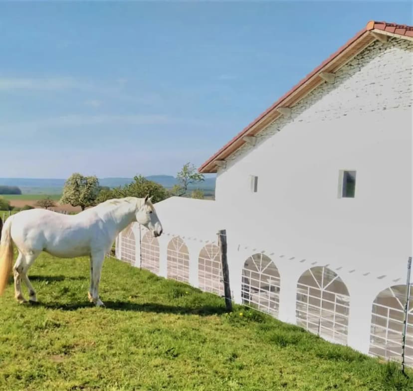 L'Ecurie Vaudémont — photo 1