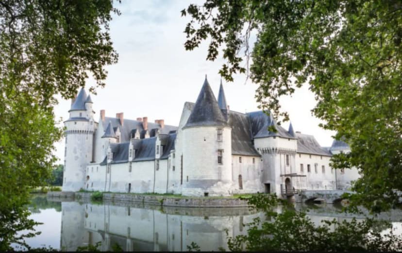 Château du Plessis-Bourré — photo 1