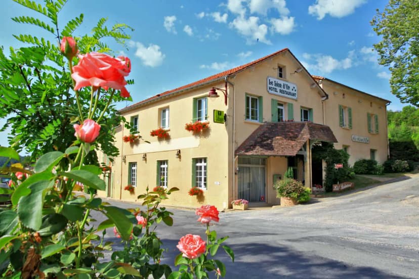 Logis Hôtel le Lion d'Or — photo 1