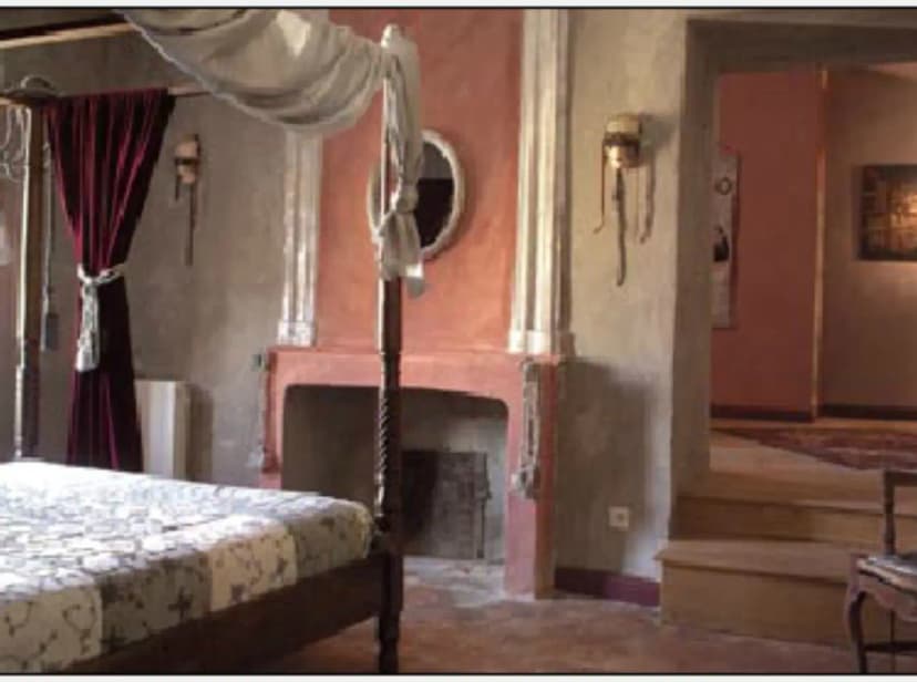 Mansion De Digoine — photo 5