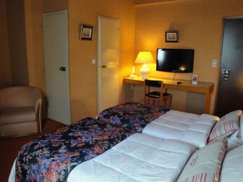 SAS Hotel Le Drakkar — photo 3
