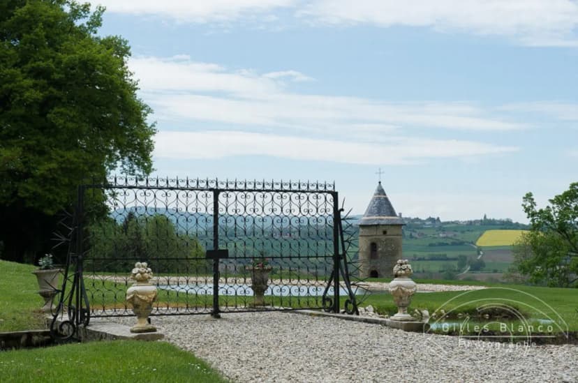 Château de Pupetières — photo 5