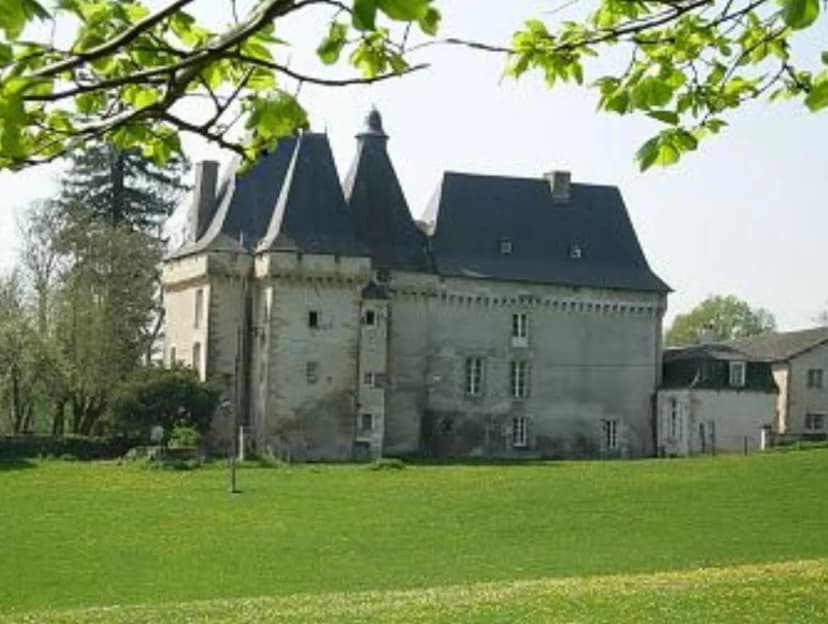 Château de Mavaleix — photo 1