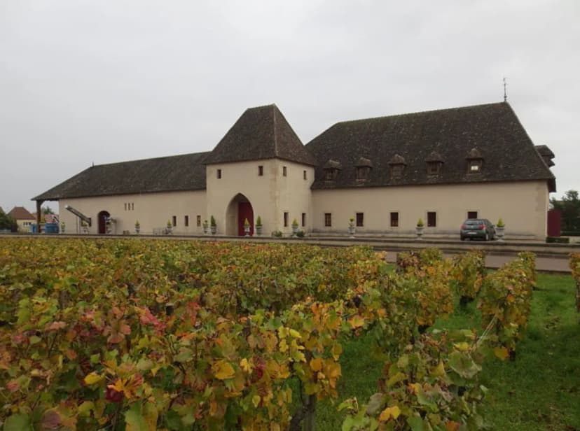 Château Marsannay — photo 4