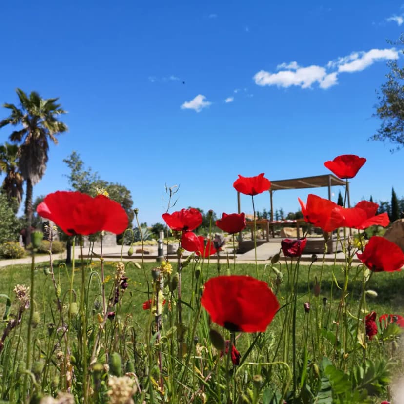 Parc Galéa — photo 4