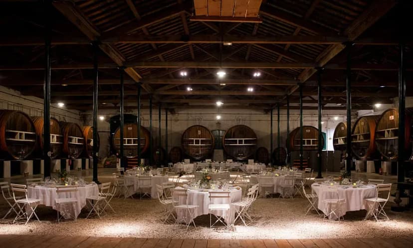 La Maison Noilly Prat - Musée - Bar - Boutique — photo 3