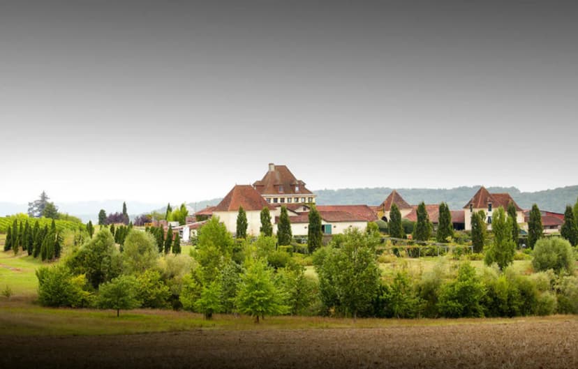 Château Bouscassé - Alain Brumont - Accueil, dégustation, boutique — photo 1