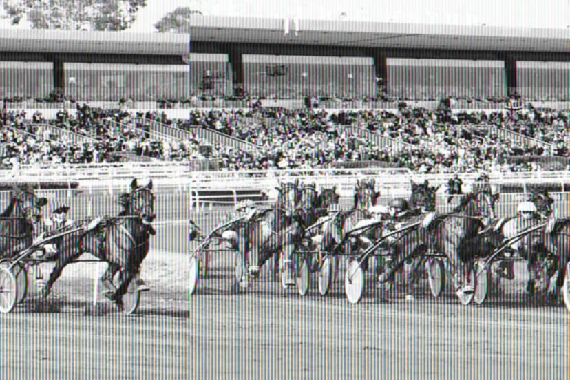 Hippodrome de la Côte d'Azur — photo 4