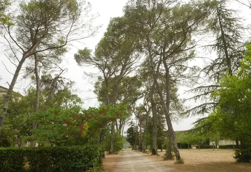 Notre Dame de la Gardiolle — photo 2