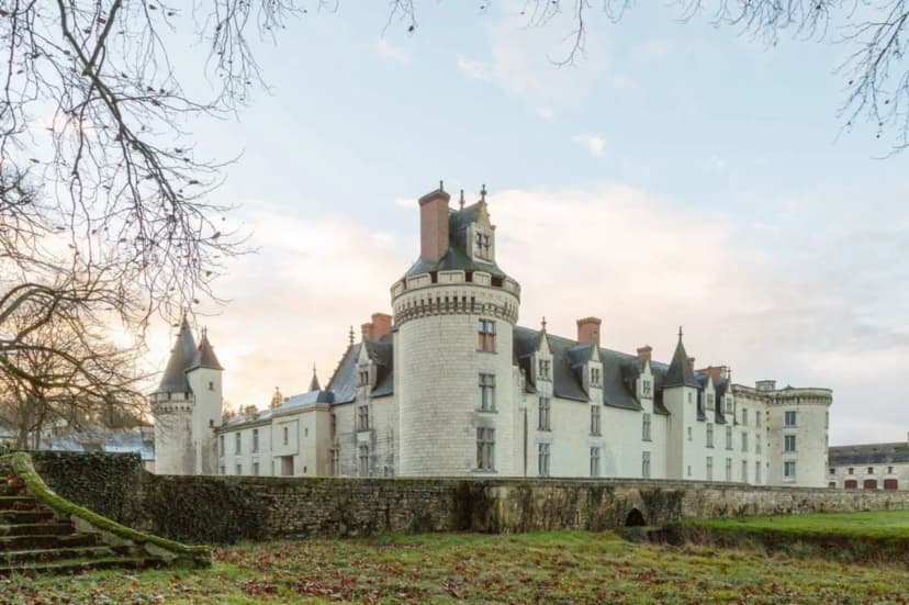 Château de Dissay — photo 1