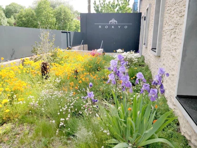 Espace Rokyo — photo 5