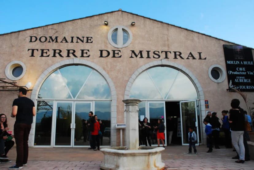 Domaine Terre de Mistral — photo 4