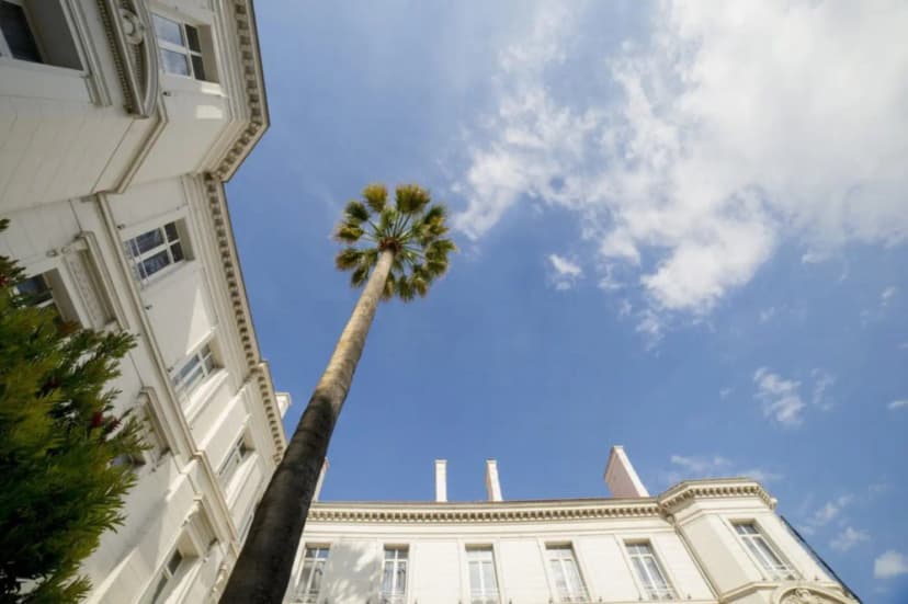 Hôtel Excelsior - Côte d'Azur - Hôtel, Restaurant & Pub — photo 4