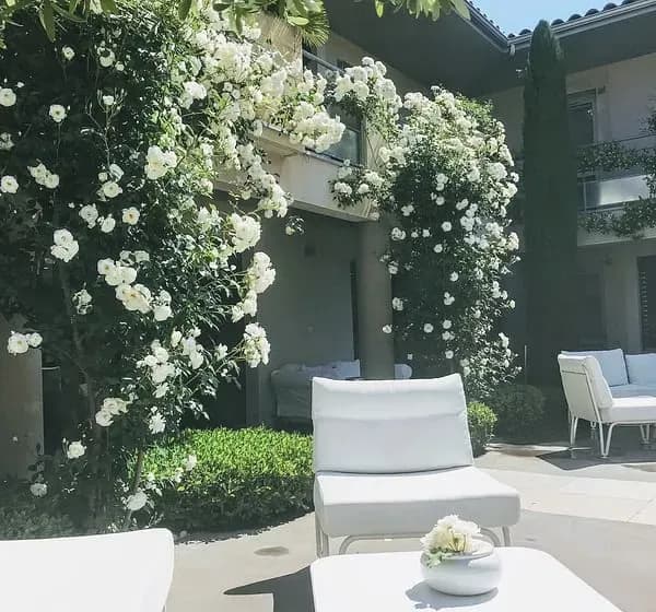 LE PATIO DE VIOLETTE MEILLEUR TARIF DEPUIS NOTRE SITE INTERNET — photo 5