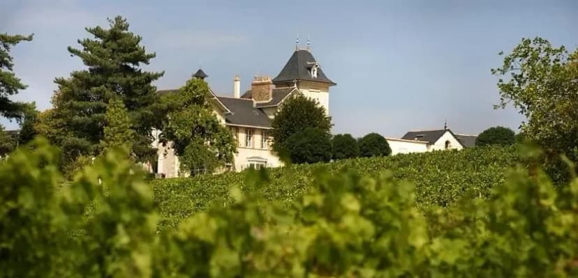 Château Soucherie — photo 1