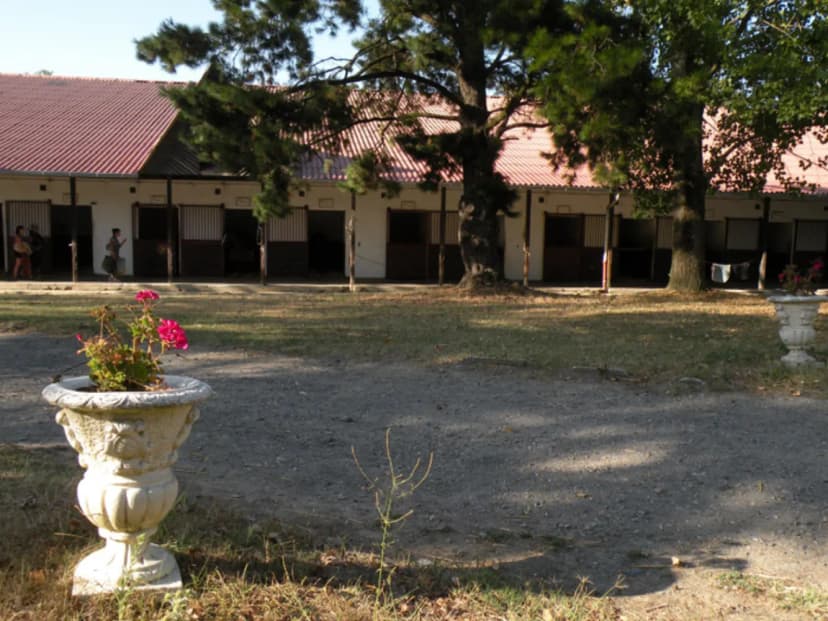 Equestrian Club De Vigoulet — photo 4