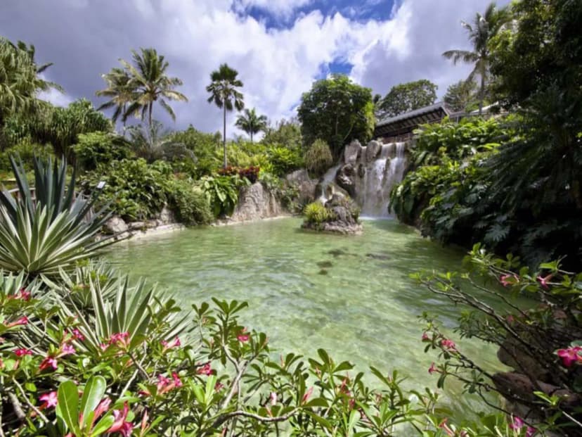 Jardin Botanique de Deshaies — photo 1