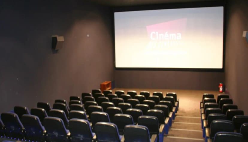 Cinéma des Cinéastes — photo 1