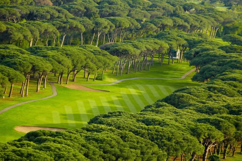 Golf Old Course Cannes Mandelieu — photo 3