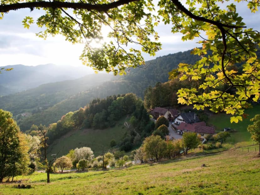 Logis Auberge du Mehrbächel — photo 4