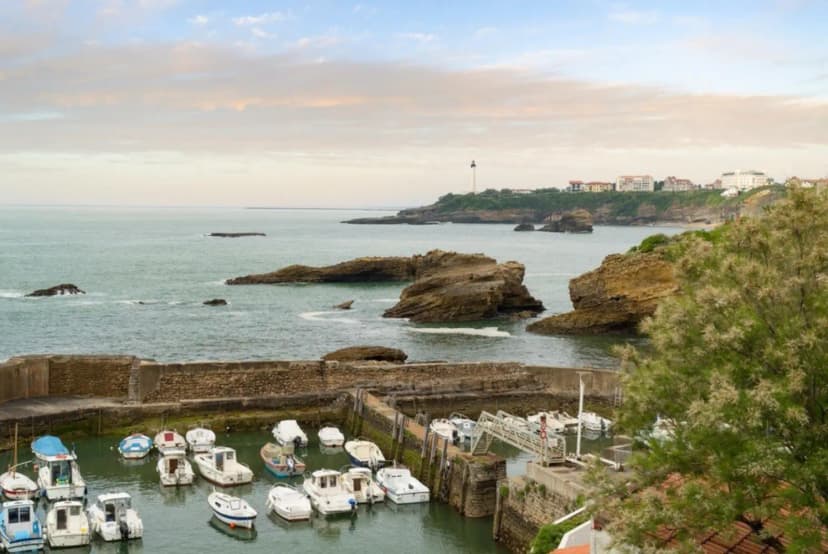 Sure Hotel by Best Western Biarritz Aéroport & Restaurant Apolonia — photo 5