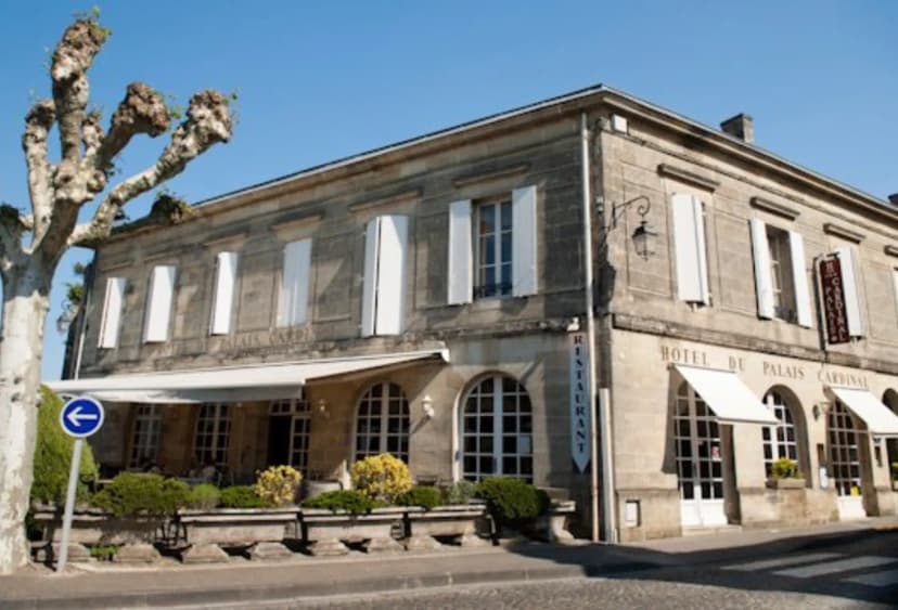 Château Palais Cardinal — photo 1