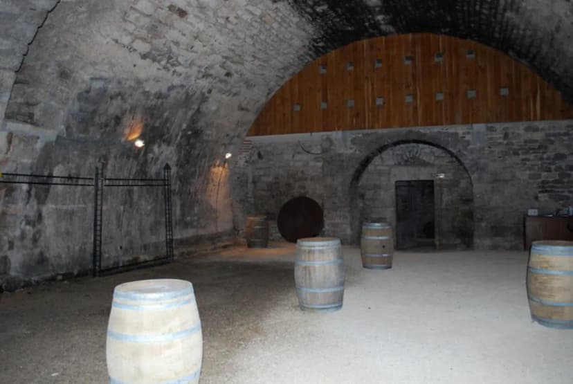 Château Les Bouysses — photo 4