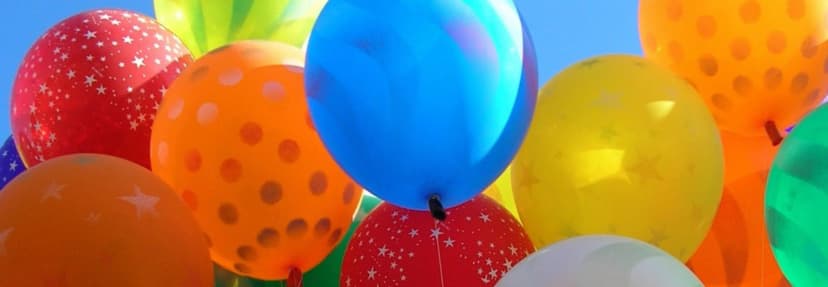 School Circus De Bordeaux — photo 4