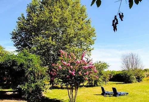 Domaine Maison Dodo — photo 3