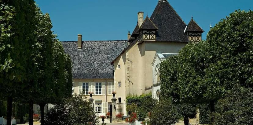 Château of Pizay — photo 1