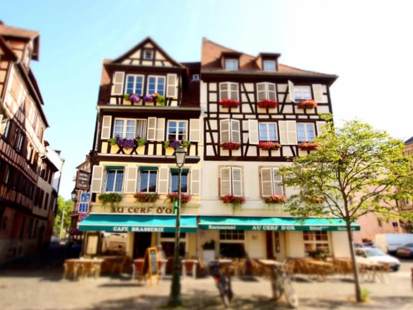 Logis Hôtel Au Cerf d'Or — photo 1