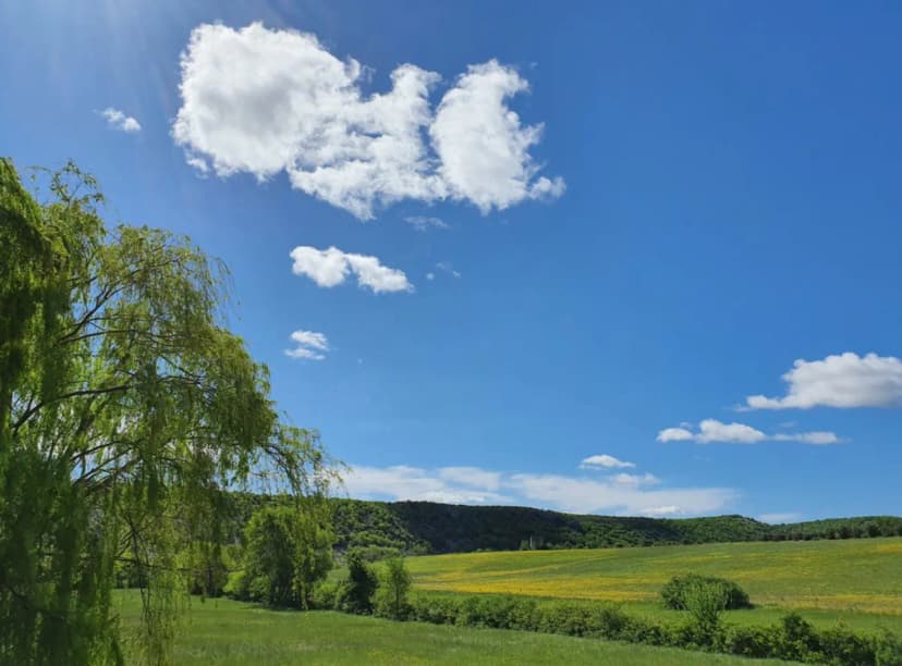 Domaine Cassan — photo 4