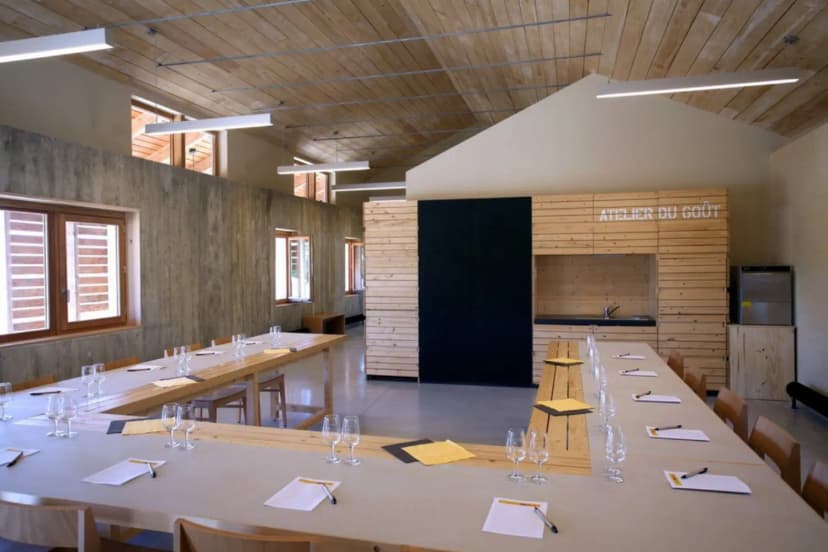 Viavino the wine tourism center — photo 4