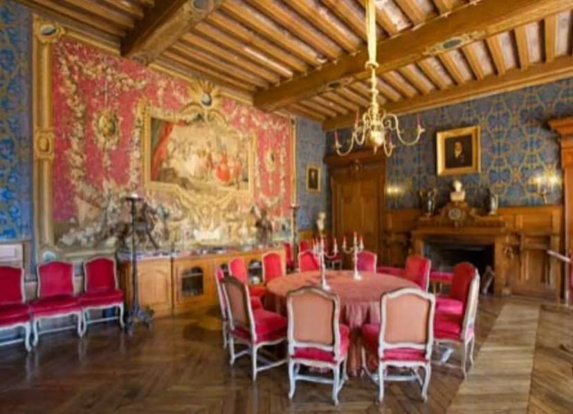 Château de Thoiry — photo 3