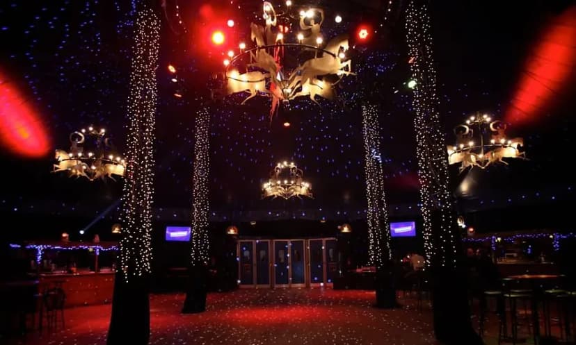 Cirque Alexis Gruss — photo 5