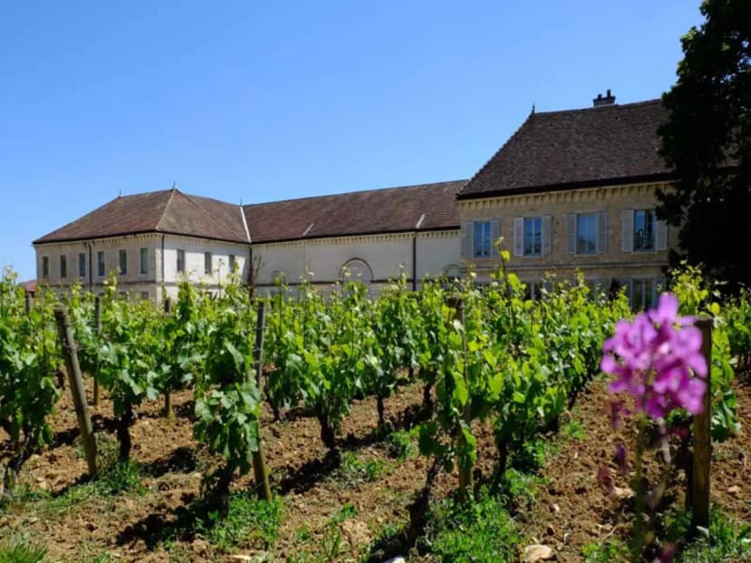 Château de Chassagne-Montrachet — photo 1