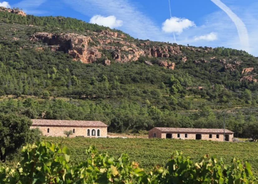 Domaine de la Bouverie — photo 4