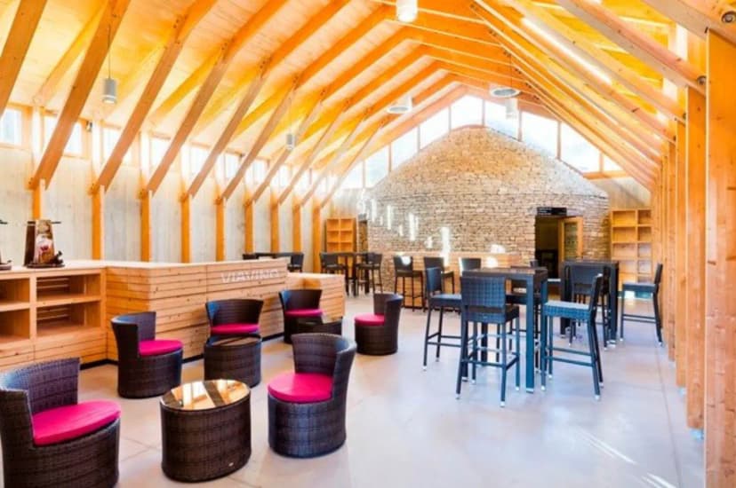 Viavino the wine tourism center — photo 5
