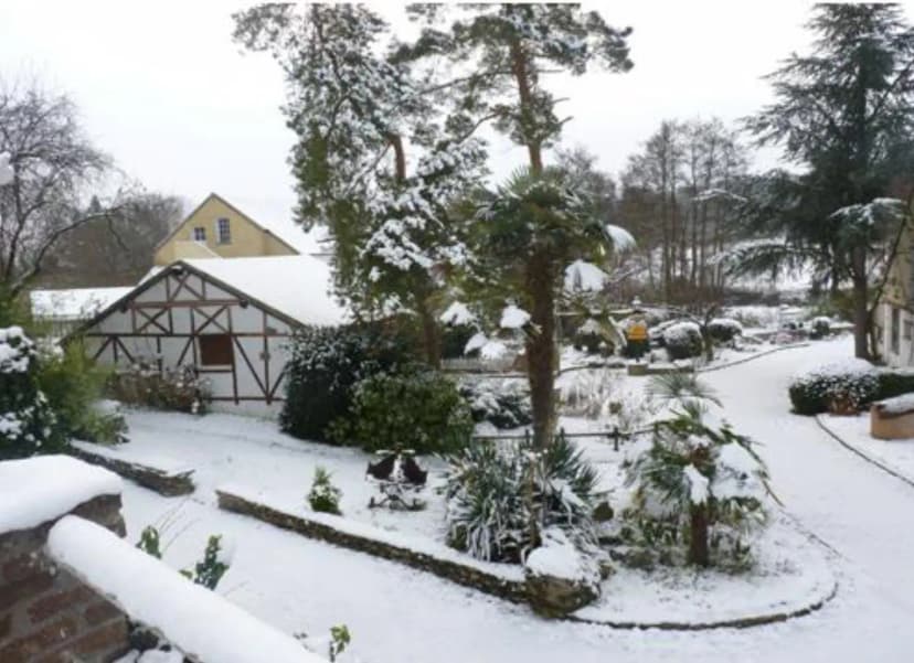 Field of the valley — photo 4