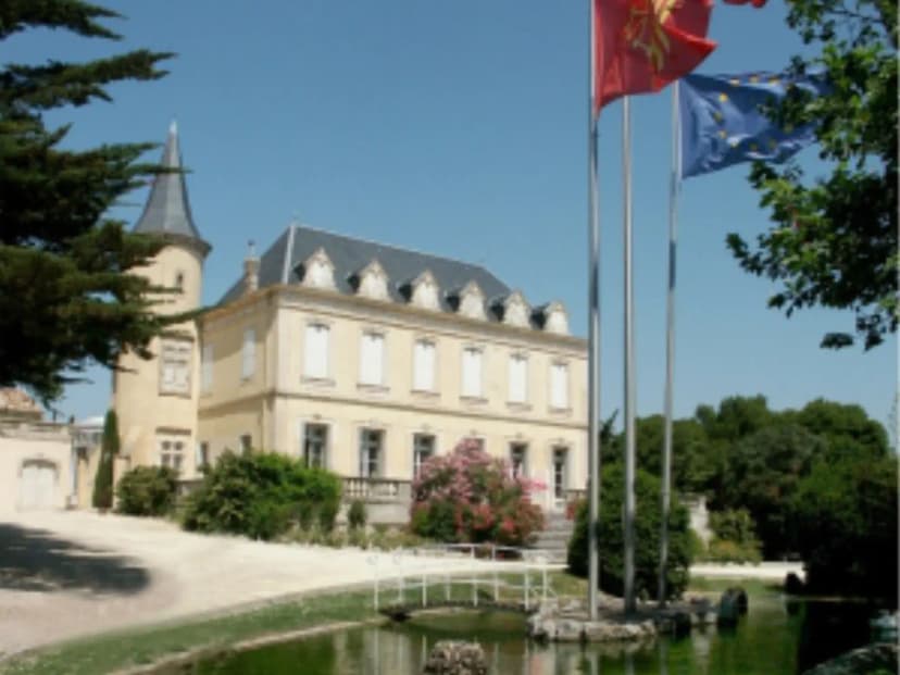 Narbonne Mayor — photo 3