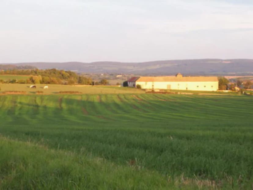Domaine de Morlay — photo 4