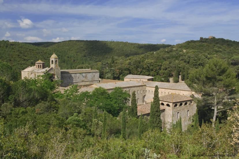 Abbaye de Fontfroide — photo 4