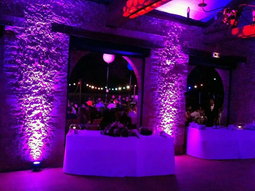 Chateau de Castex d'Armagnac — photo 3