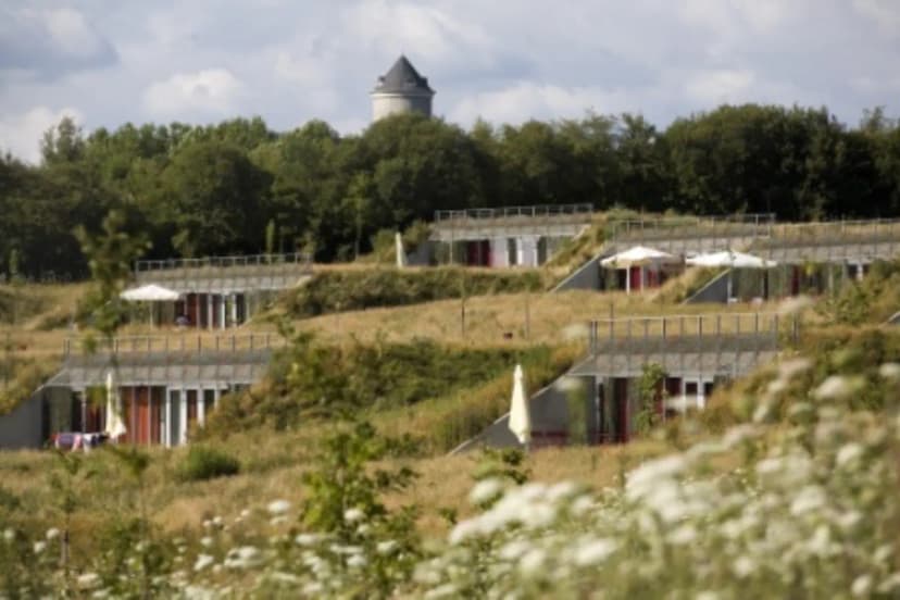 Les Collines de Sainte Féréole — photo 1