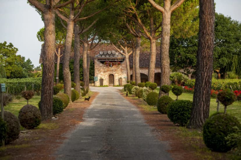 Château Saint Louis — photo 1