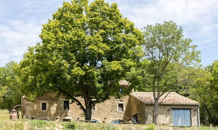 L'Essentiel de Lavande — photo 1