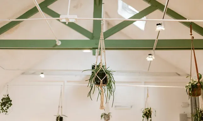 L'Usine Té - Loft événementiel — photo 5