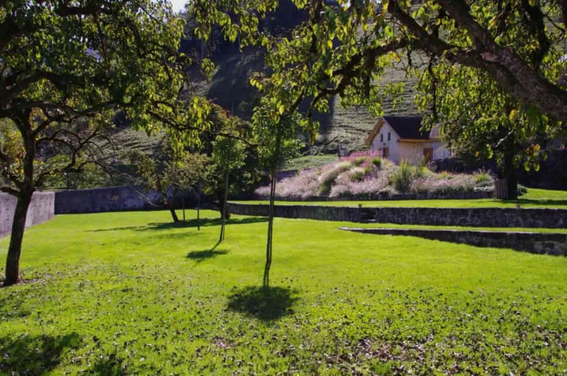 Farm Gy — photo 5