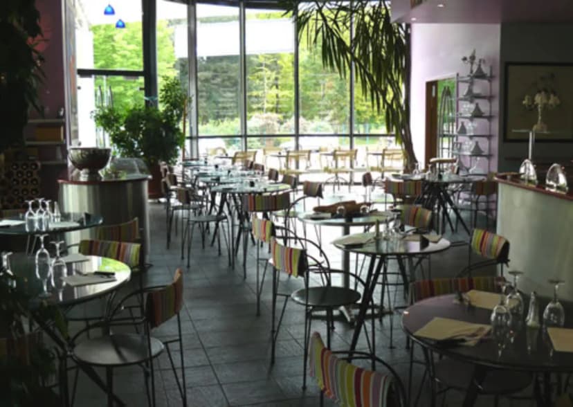 Le Pin Galant — photo 5